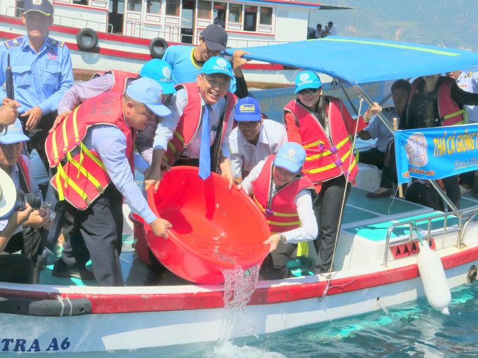 Công ty Yến sào Khánh Hòa: Thả cá giống tái tạo nguồn lợi thủy sản và trồng cây xanh bảo vệ môi trường